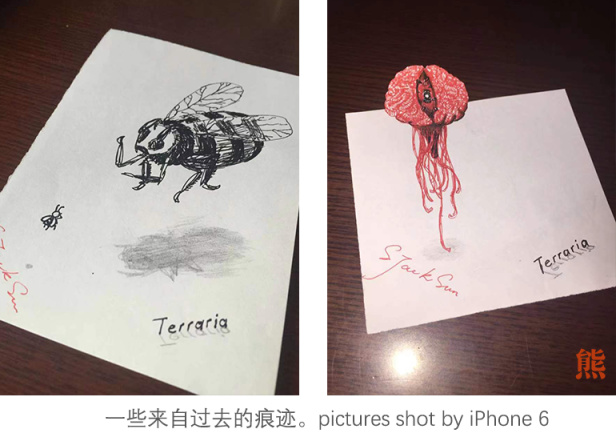 【PC游戏】关于我和《泰拉瑞亚》，一些零星琐碎的记忆-第11张