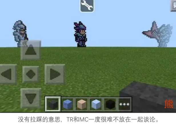 【PC游戏】关于我和《泰拉瑞亚》，一些零星琐碎的记忆-第10张