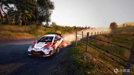 【游戏NOBA】浅谈和F1齐名的赛事—世界汽车拉力锦标赛WRC-第6张