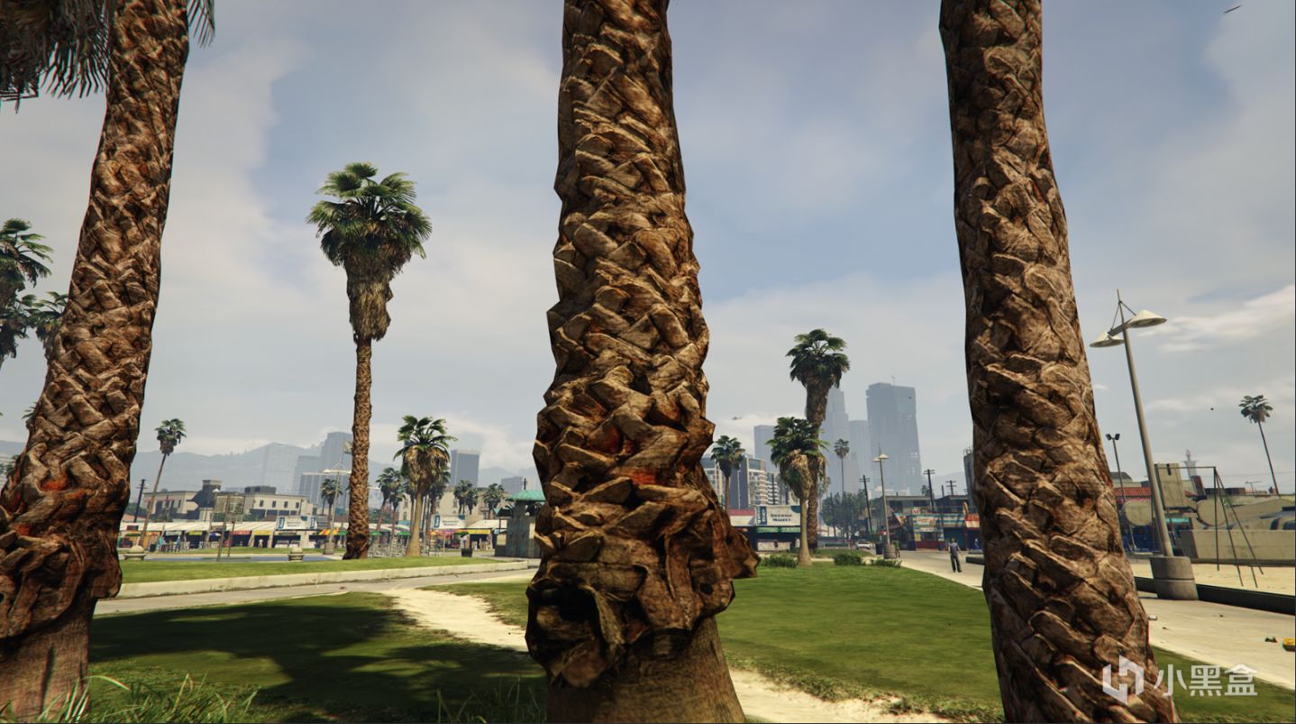 【侠盗猎车手5】GTA5 PC版图形优化和性能优化指南（下）-第0张