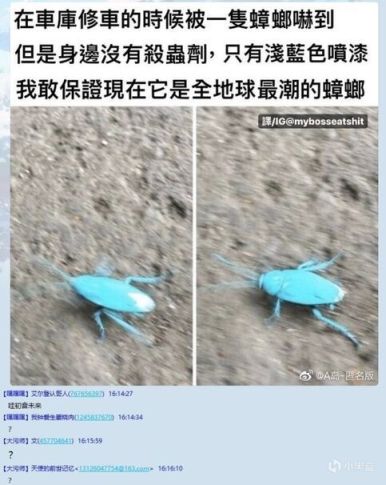 【快乐的前提是沙雕第四十三期】分享+沙雕=快乐-第42张