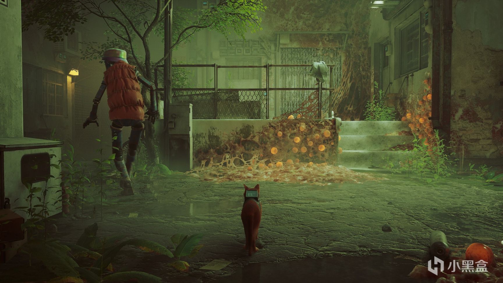 【PC游戏】冒险解谜游戏《stray》：没有什么能留住一只猫，赛博朋克也不行-第7张