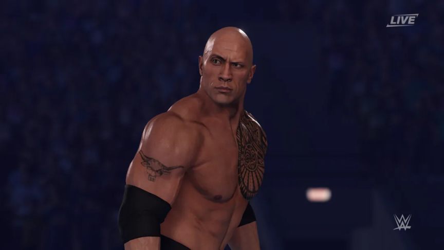 《WWE 2K》多款旧作在Steam下架 官方未有声明-第5张