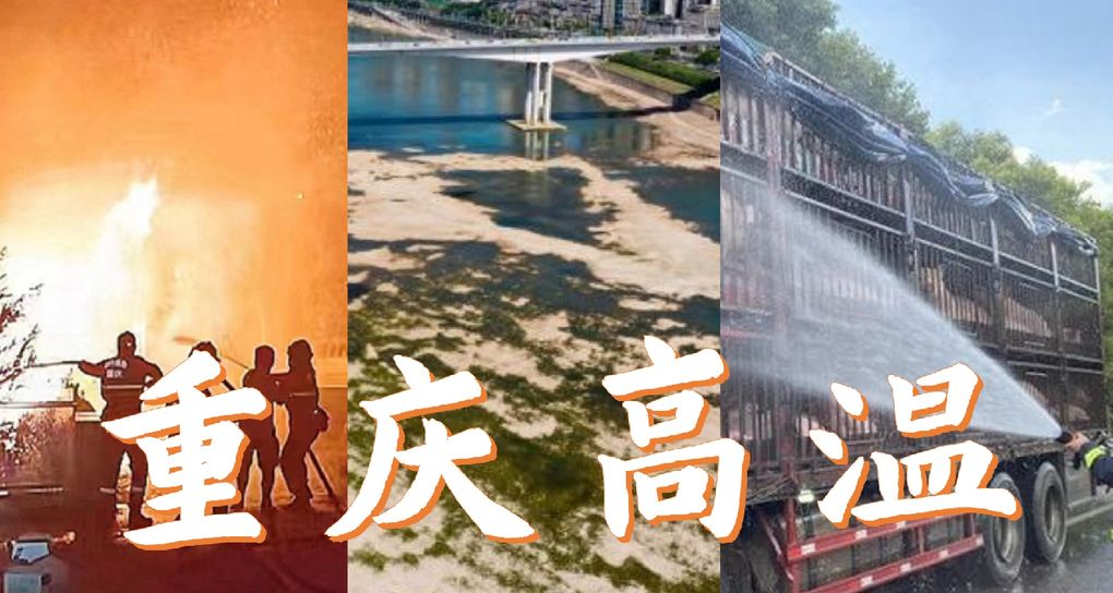 火灾不断，动物中暑，重庆的夏天究竟有多热？