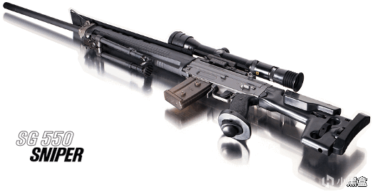 【遊戲NOBA】G3步槍遠房表親——SIG SG550系列突擊步槍-第19張