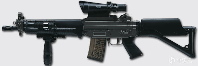 【游戏NOBA】G3步枪远房表亲——SIG SG550系列突击步枪-第21张