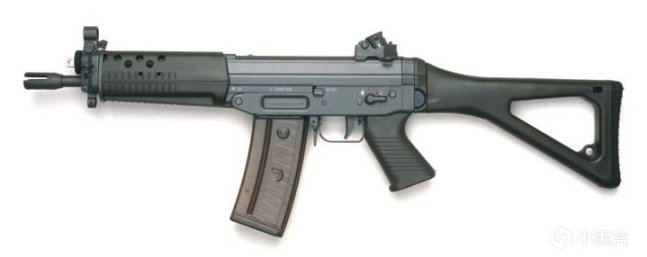 【遊戲NOBA】G3步槍遠房表親——SIG SG550系列突擊步槍-第22張