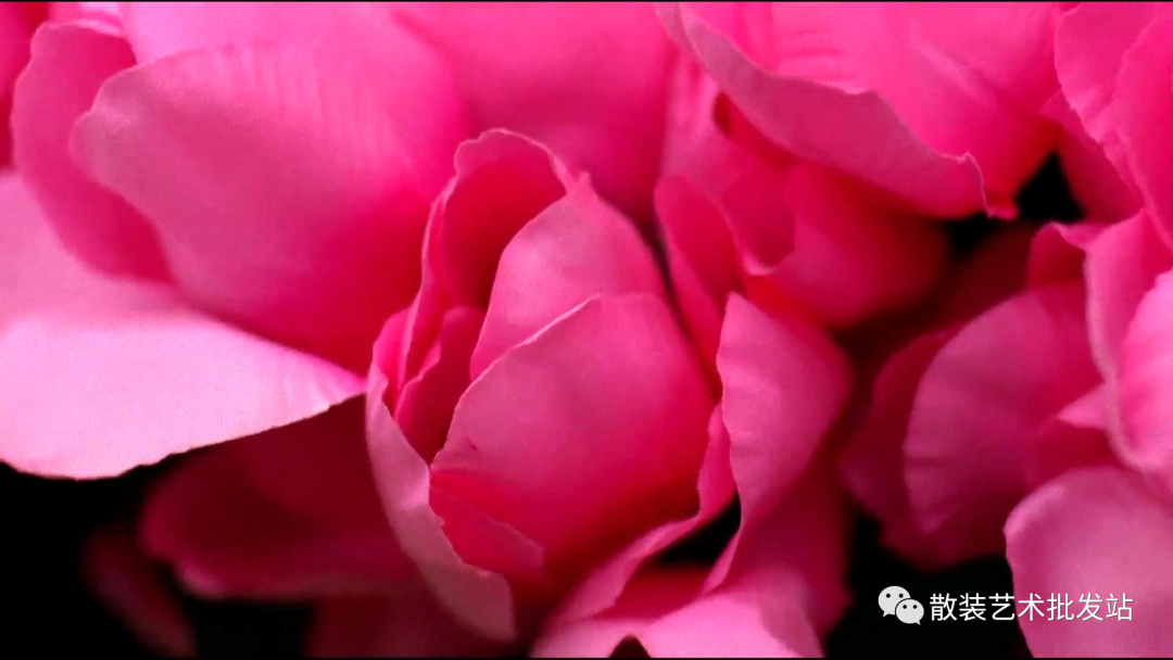 【影視動漫】電影：送你一朵小紅花—《超脫》-第7張