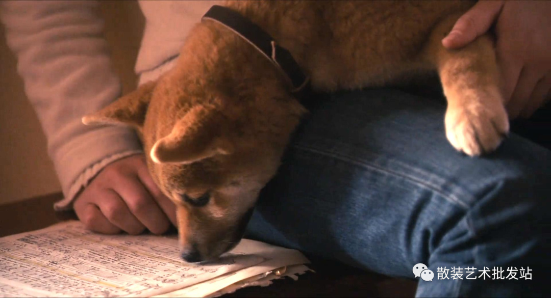 【影視動漫】電影：謝謝你陪我—《忠犬八公的故事》-第2張