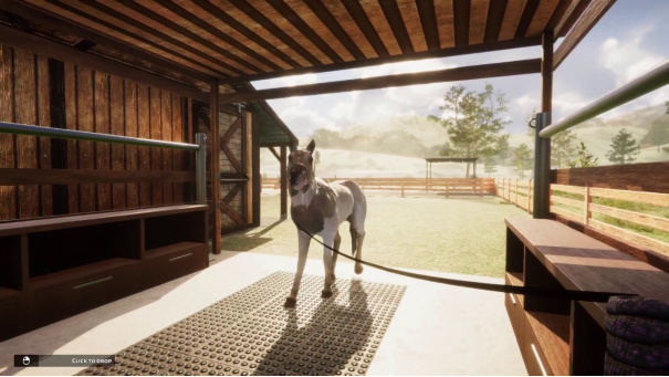 《动物收容所》公布全新DLC——《马匹收容所》闪新登场！-第3张