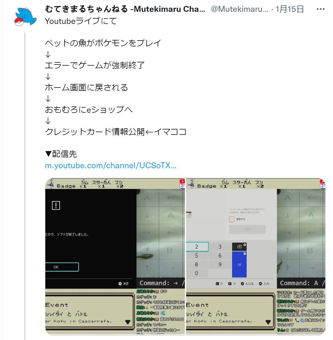 【Switch】懶人寶可夢主播，或成史上第一個被寵物魚盜刷信用卡者-第3張