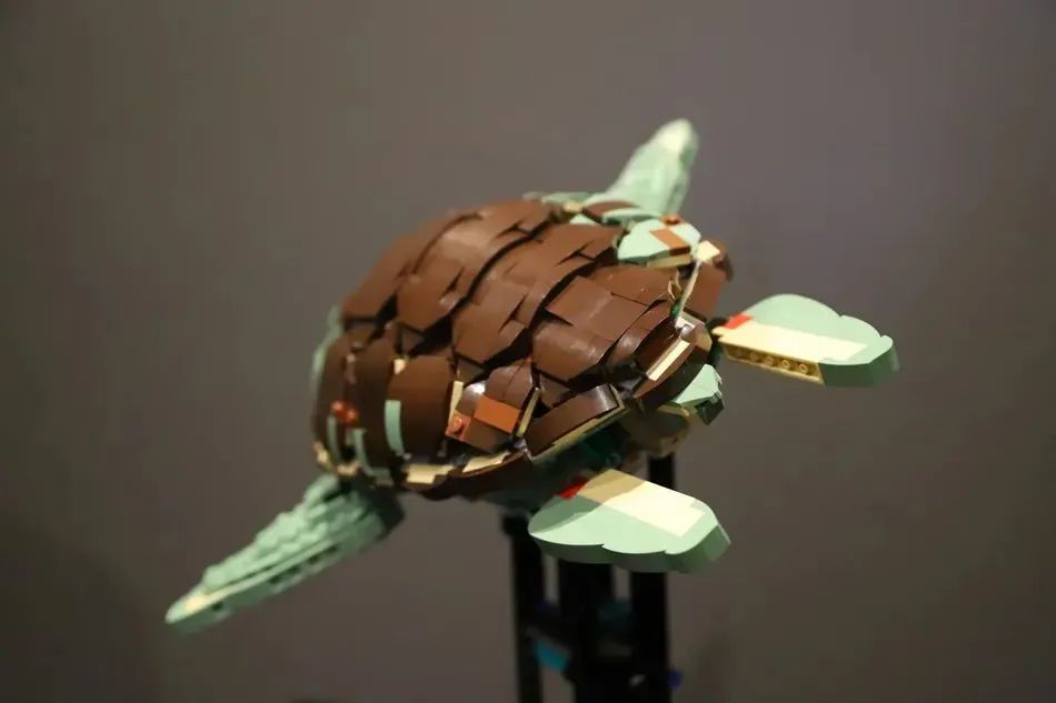 【周邊專區】看著那海龜水中游~樂高IDEAS作品《海龜》獲得萬票支持-第8張