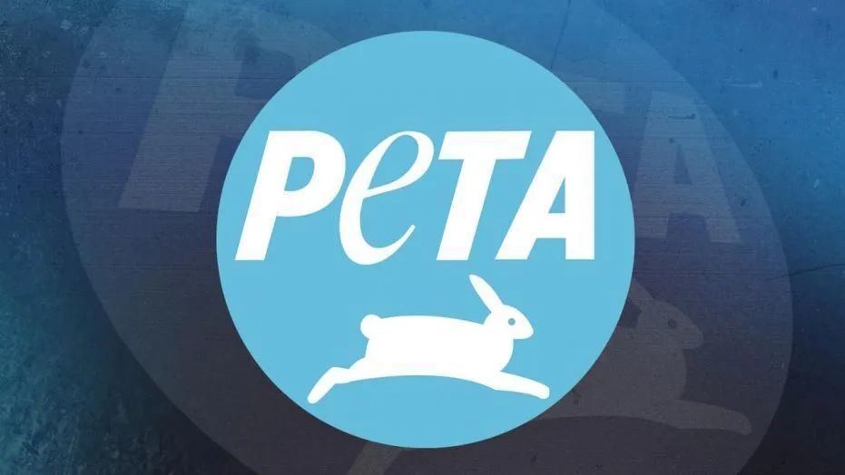 【PC游戏】当电子动物碰到赛博动保PETA-第2张
