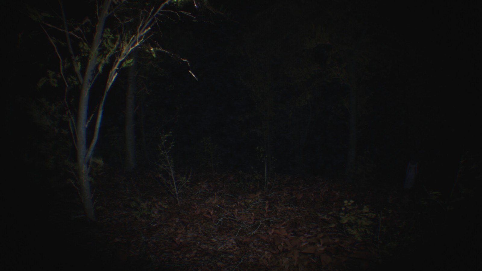 【PC游戏】P.T.风格恐怖新作《超自然故事》公布 Steam页面公开-第5张