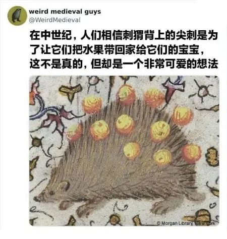 《每日沙雕梗图》60-第7张