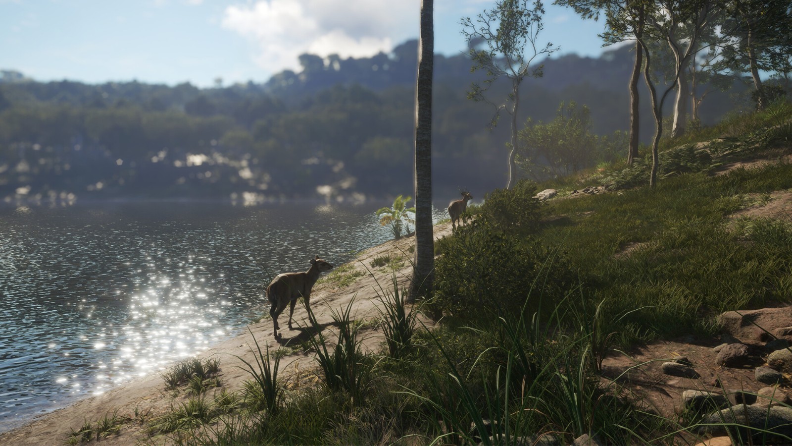 《猎人：野性的呼唤》新DLC公布，体验澳洲美丽风情！-第4张