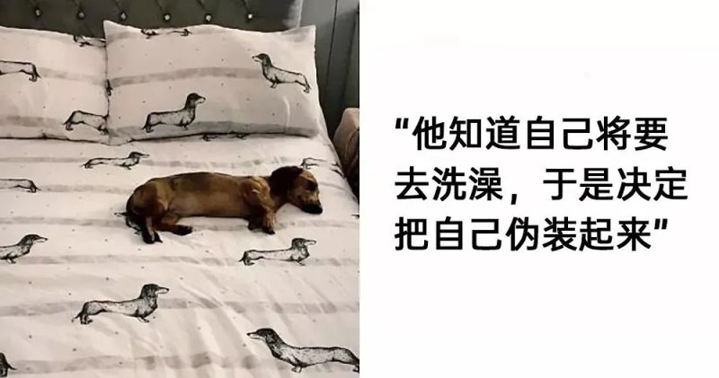《每日沙雕梗图》72-第4张