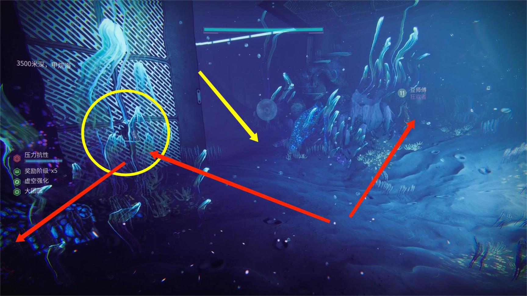 《深淵潛水-全收集》全植物和花卉 丨西奧昌的潛水機殼-第22張