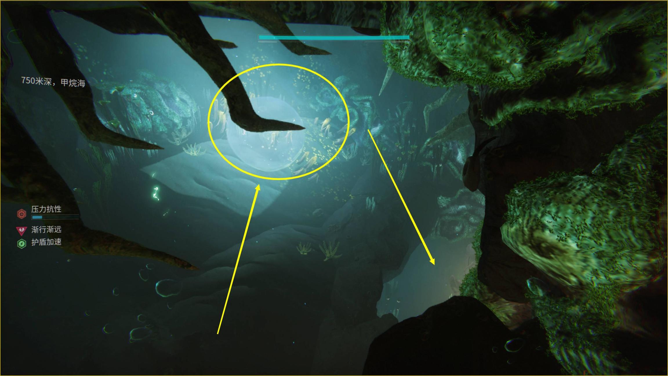 《深渊潜水-全收集》全植物和花卉 丨西奥昌的潜水机壳-第9张