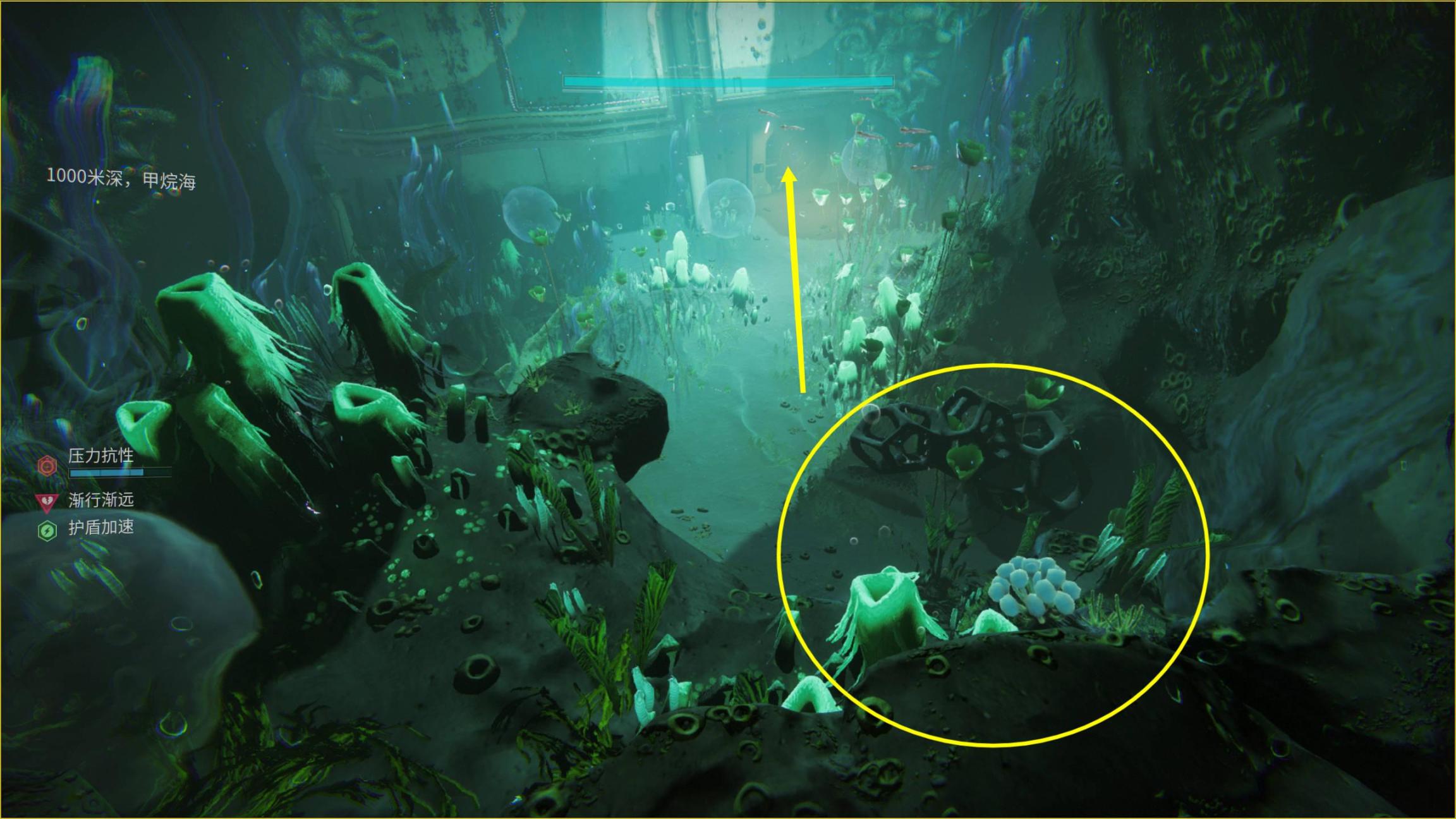 《深淵潛水-全收集》全植物和花卉 丨西奧昌的潛水機殼-第12張
