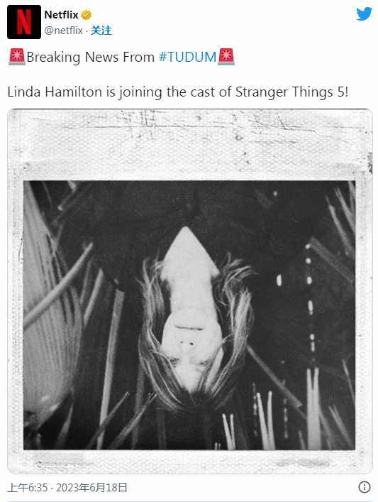 【影视动漫】琳达·汉密尔顿加盟《怪奇物语》：曾出演《终结者》-第0张