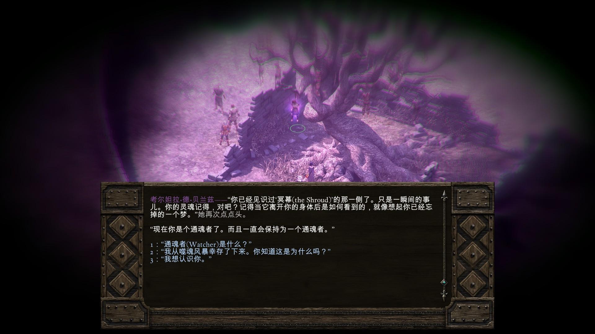 【CRPG05】《索拉斯塔》把好鋼都用在了刀尖上-第15張