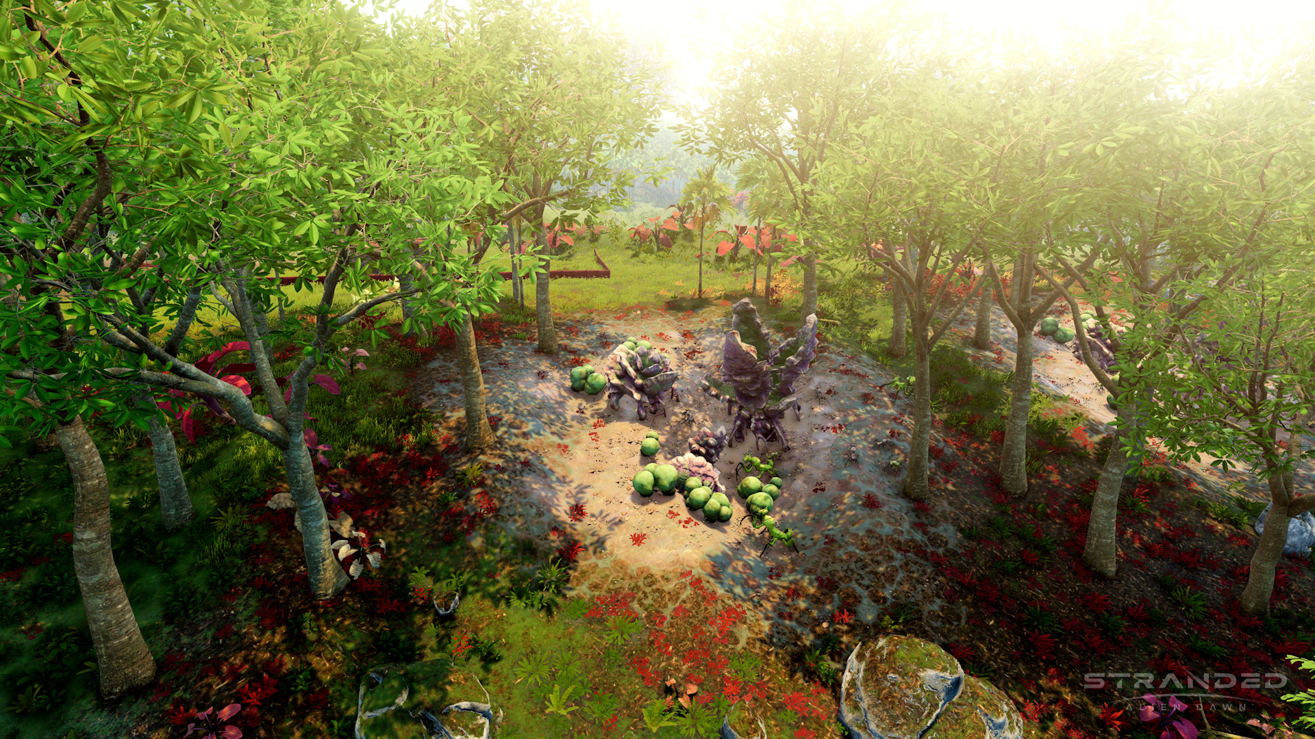 【PC遊戲】"3D版環世界"《滯困：異星黎明》更新熱帶叢林地區！-第2張