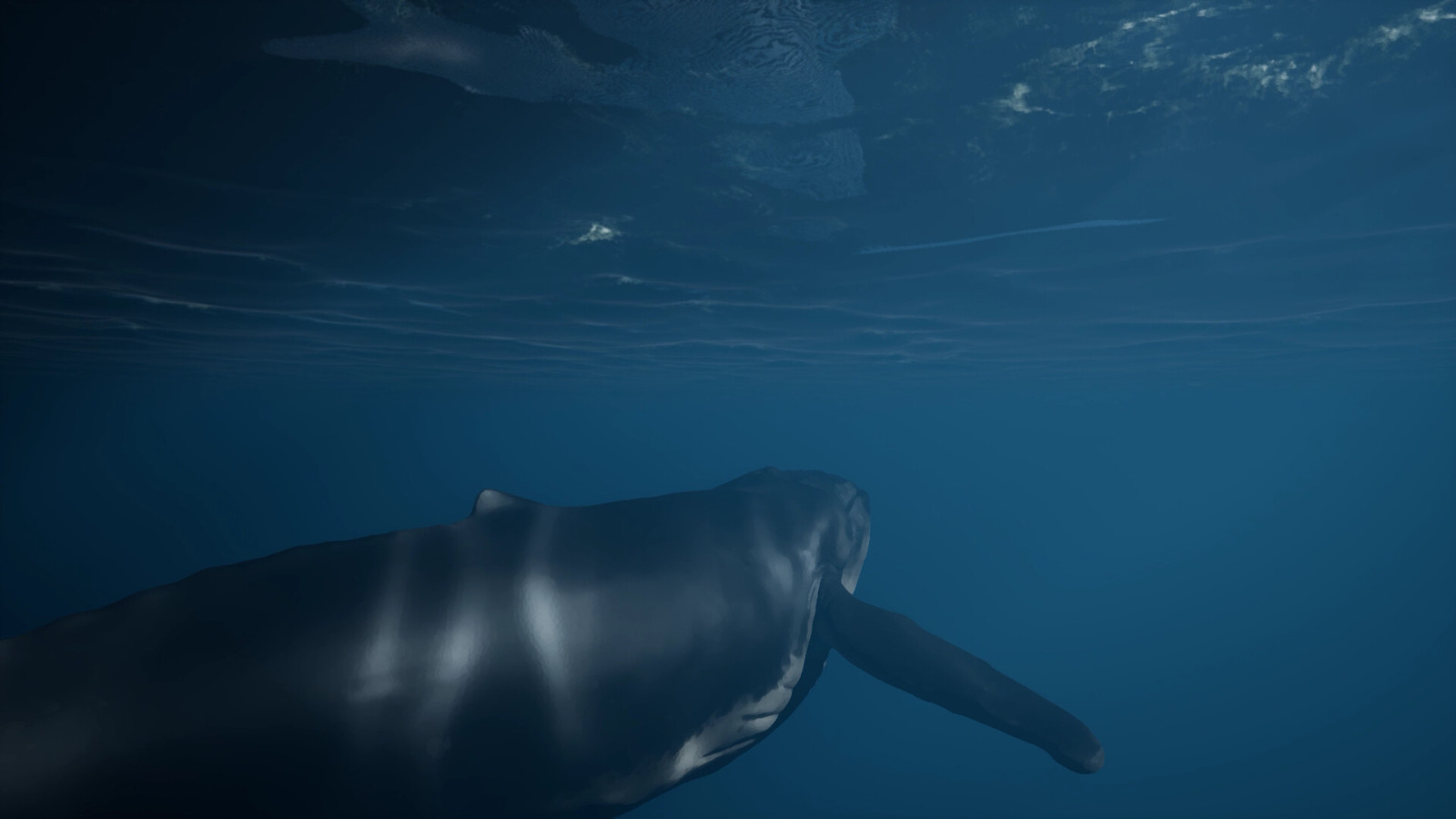 【PC游戏】单人探索游戏《鲸葬》Steam页面上线 9月发售-第7张