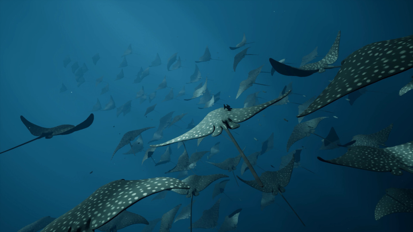【PC遊戲】水底探索遊戲《鯨葬》上架Steam平臺，預計9月發售-第7張
