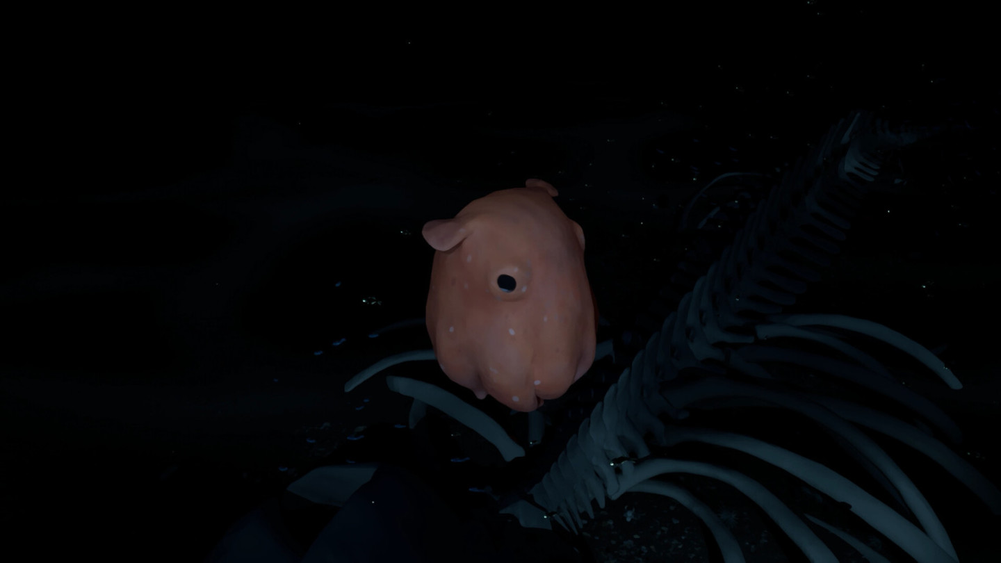【PC游戏】水底探索游戏《鲸葬》上架Steam平台，预计9月发售-第4张