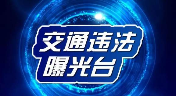 杭州行车记录仪举报交通违法一条50元 有人一上午赚了500