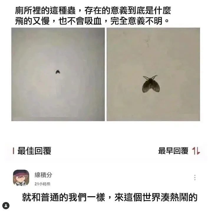 《每日沙雕梗图》118-第13张