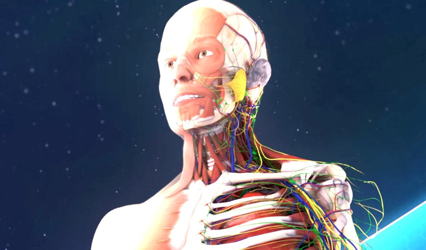 探究人体“奥秘”的游戏《人体解剖 VR》登陆PS VR