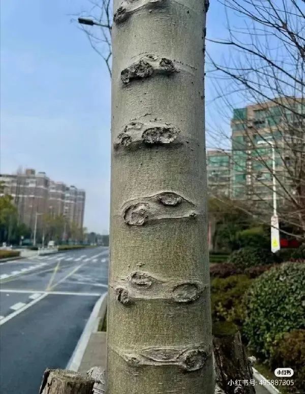 《每日沙雕梗圖》125-第17張