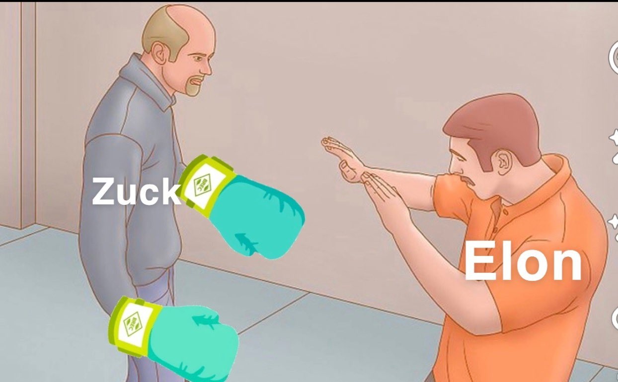 扎克伯格認定馬斯克沒有認真對待籠中決鬥