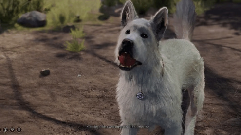 《博德之門3》玩家為救狗狗 損失一個半小時存檔-第1張