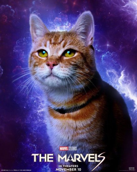 《驚奇隊長2》角色海報釋出：可愛貓貓獸人氣擔當！-第1張