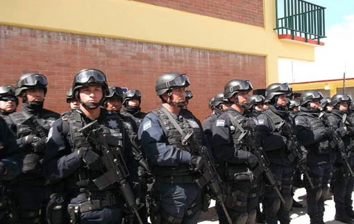 《收穫日》系列執法力量指南：墨西哥聯邦警察-第21張