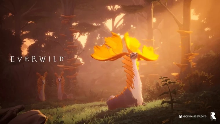 《Everwild》還活著：Rare正為項目招聘視頻製作人-第1張