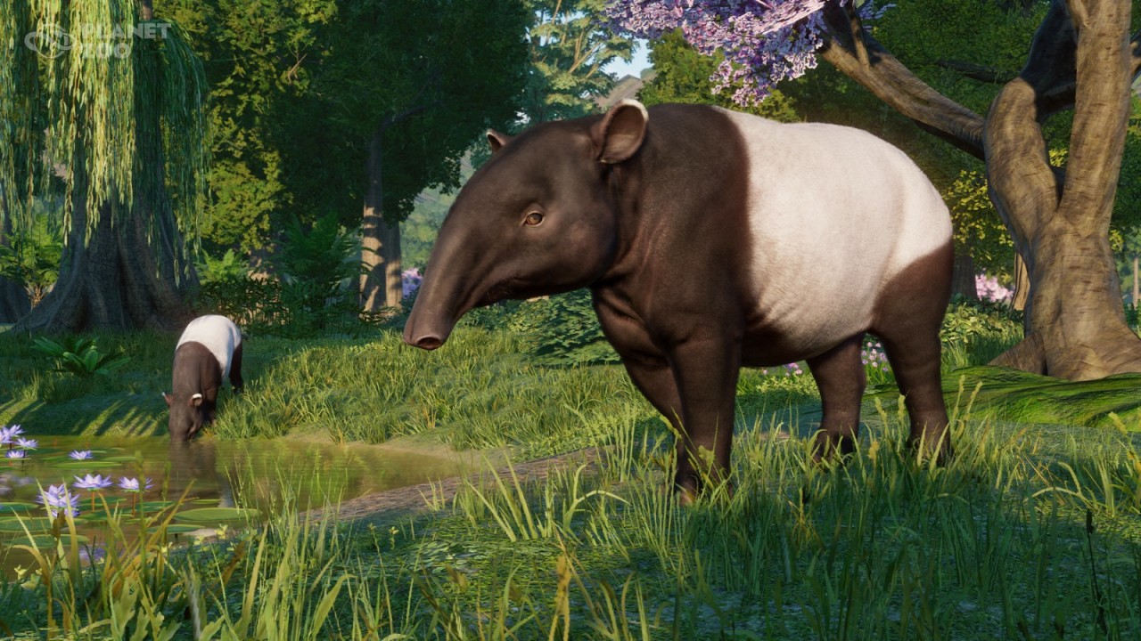 《動物園之星》新DLC歐亞動物包發售 1.16免費更新同步推出-第2張