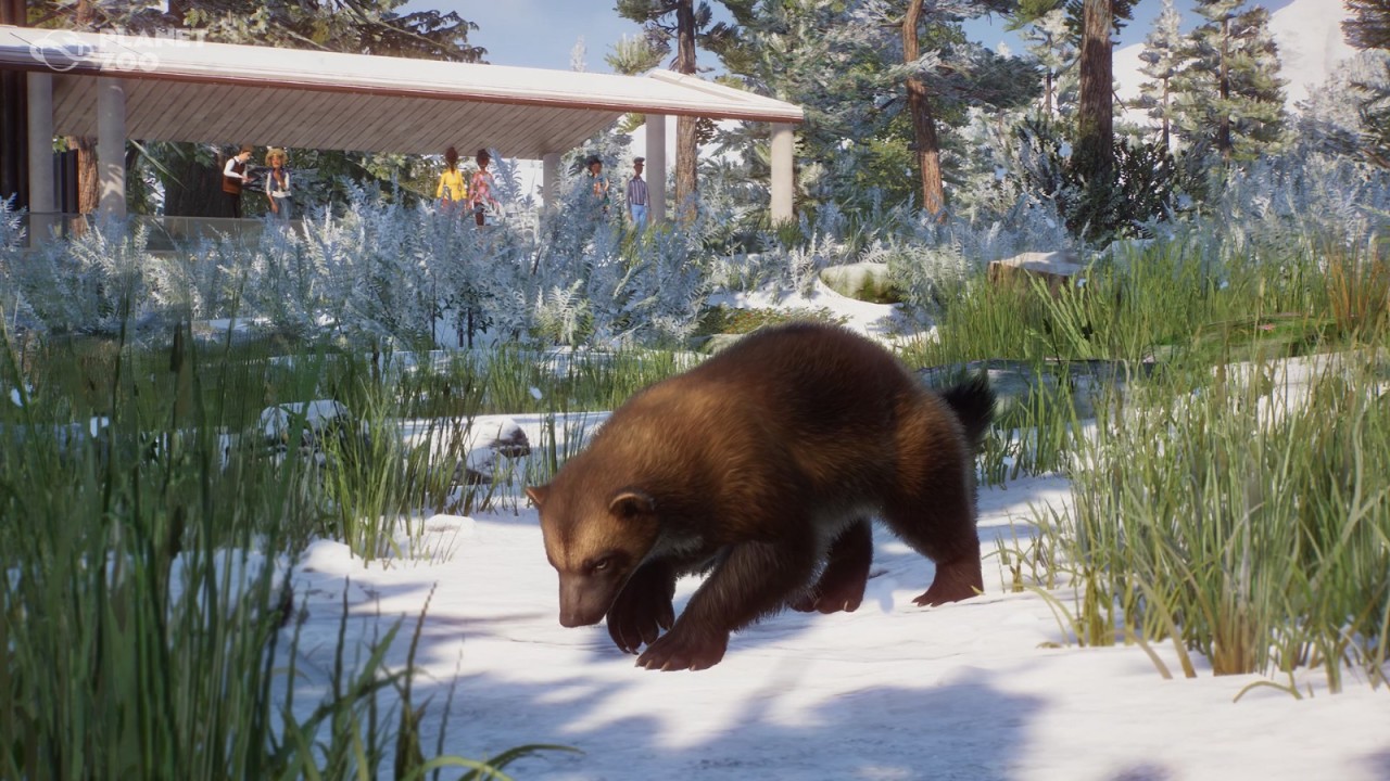 《動物園之星》新DLC歐亞動物包發售 1.16免費更新同步推出-第1張