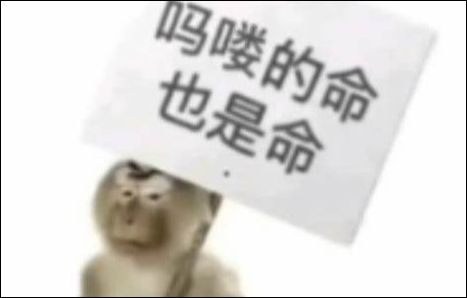 【PC游戏】海外无数人吹捧的“三大塔防”之一进了国内直接开始“猿神启动”-第1张