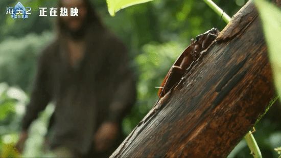 《海王2》发布正片片段：海王骗奥姆吃蟑螂