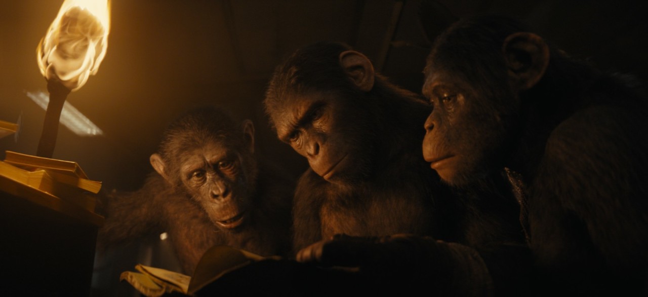 《猩球崛起4》新剧照公布   明年5月24日北美上映-第1张