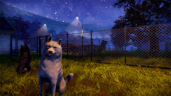 【PC游戏】动物救助模拟游戏《动物收容所2》Steam页面上线-第5张
