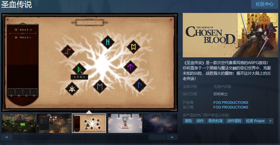 【PC遊戲】次世代像素風格的ARPG遊戲《聖血傳說》Steam頁面 支持中文-第0張