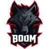 【無畏契約】BOOM Esports和Alter Ego受邀參加印度尼西亞挑戰賽-第0張