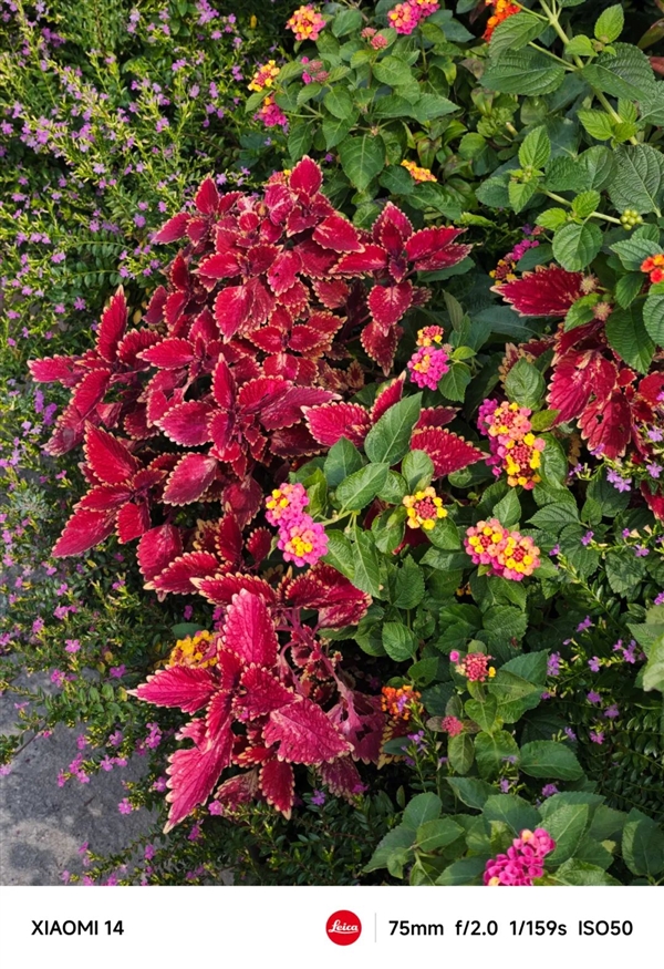 【球盟会】今年旗舰机涨价也就算了 竟然还偷偷缩起了水