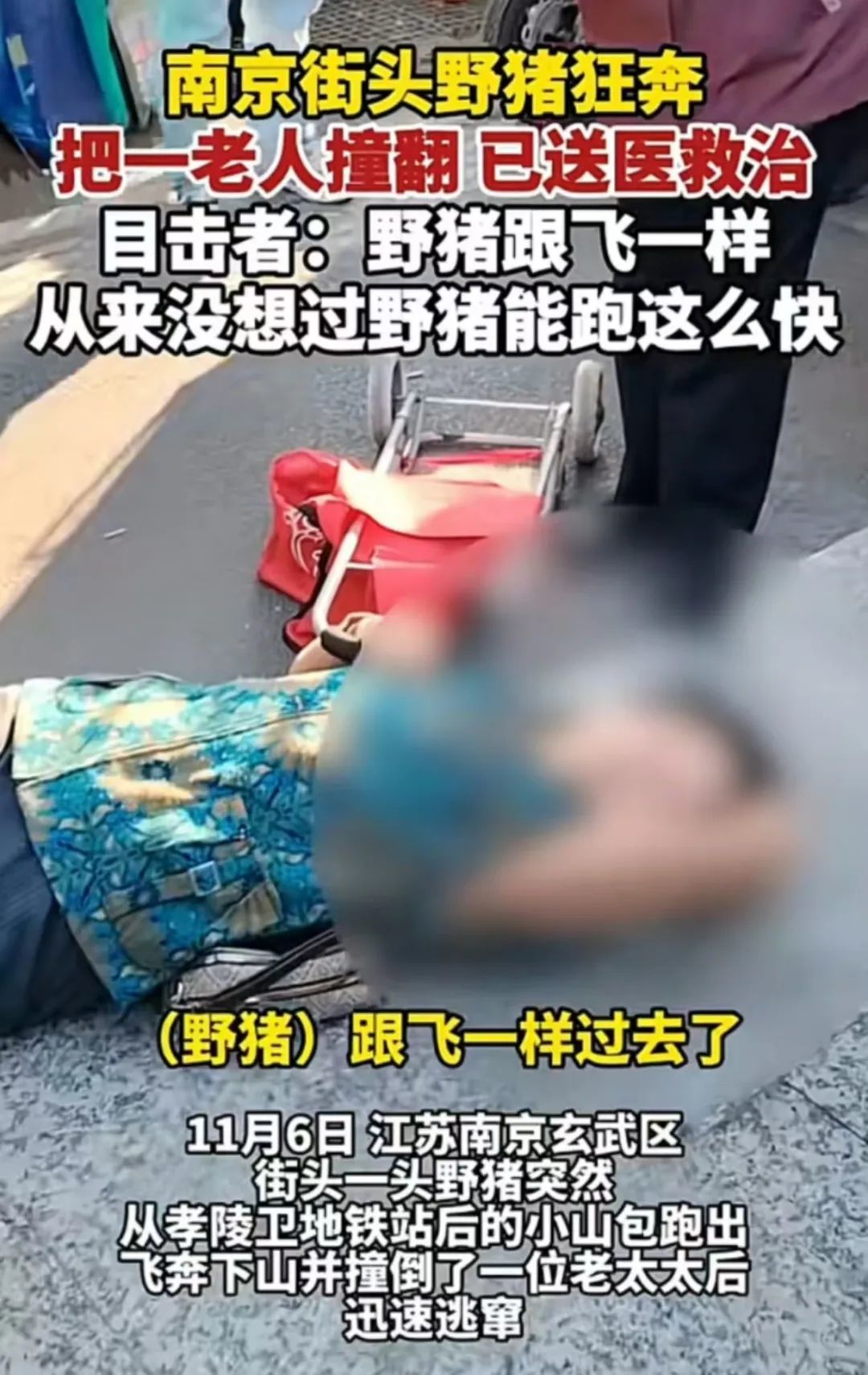 【球盟会】同时跟4个男人聊天的“网恋女友”，线下也太炸裂了吧？