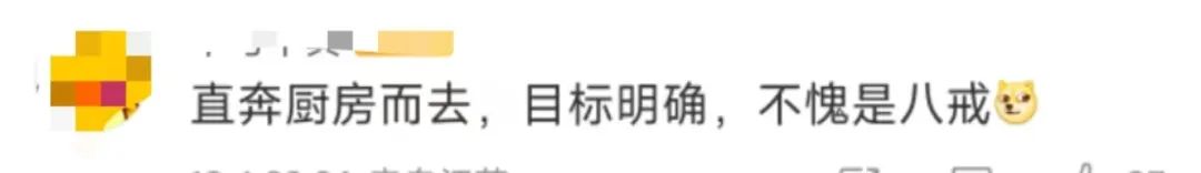 【球盟会】同时跟4个男人聊天的“网恋女友”，线下也太炸裂了吧？